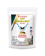 Ant Killer Repellent Powder 1kg 