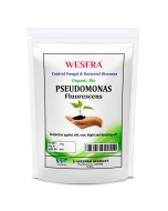 Pseudomonas Fluorescens Powder Fertilizer 1kg
