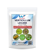 தாவரங்களுக்கு வெர்டிசிலியம் லெகானி (1x10^8 CFU/g) - அஃபிட்ஸ், த்ரிப்ஸ் மற்றும் வெள்ளை ஈக்கள் போன்ற உறிஞ்சும் பூச்சிகளுக்கு எதிராக 1 கிலோ.