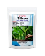 Silicon Slow-Release Fertilizer 1kg