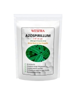 Azospirillum Biofertilizer | 1 kg | Nitrogen-Fixing Organic Fertilizer for Enhanced Plant Growth & Crop Yield