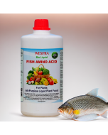 Premium Fish Amino Acid Liquid Fertilizer 1 Liter - Organic Plant Nutrient