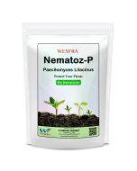 Nematoz-P Paecilomyces Lilacinus 900g Organic Soil Treatment
