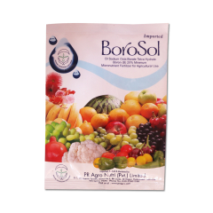 BOROSOL Di Sodium Octa Borate Tetra Hydrate - Micronutrient Fertilizer Pack of 2