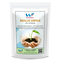 Bacillus Subtilis Powder Fertilizer 1kg