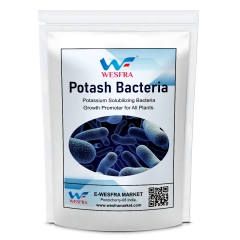 Bio Potash Bacteria Growth Promoter for All Plants | 900g Powder | Organic Fertilizer for Enhanced Growth and Soil Health