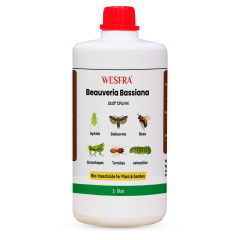 Beauveria Bassiana Liquid fertilizer 1 liter
