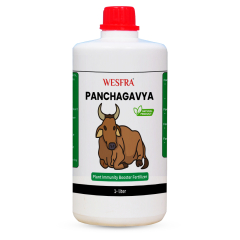 Panchagavya Fertilizer 1 Liter