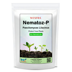 Nematoz-P Paecilomyces Lilacinus 900g Organic Soil Treatment
