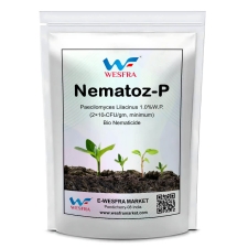 Nematoz-P | Paecilomyces Lilacinus 1.0% W.P | Bio Nematicide | 900g | Effective Soil Nematode Control | Promotes Healthy Root Growth