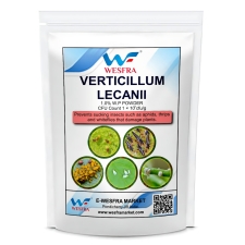 தாவரங்களுக்கு வெர்டிசிலியம் லெகானி (1x10^8 CFU/g) - அஃபிட்ஸ், த்ரிப்ஸ் மற்றும் வெள்ளை ஈக்கள் போன்ற உறிஞ்சும் பூச்சிகளுக்கு எதிராக 1 கிலோ.