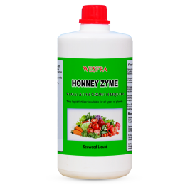 HONNEY ZYME Vegetative Growth Liquid | 1 Liter