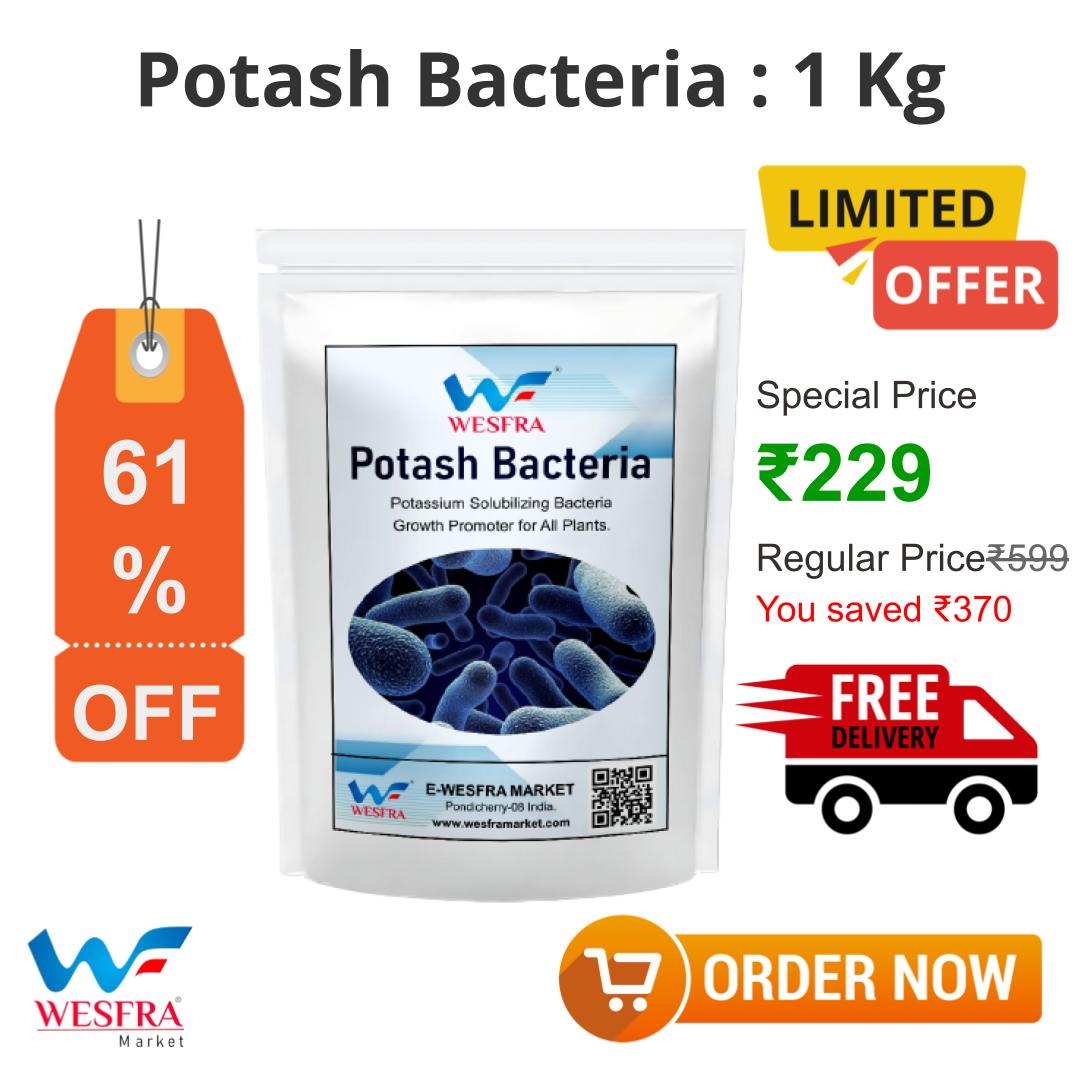 Benefits of Potassium Powder