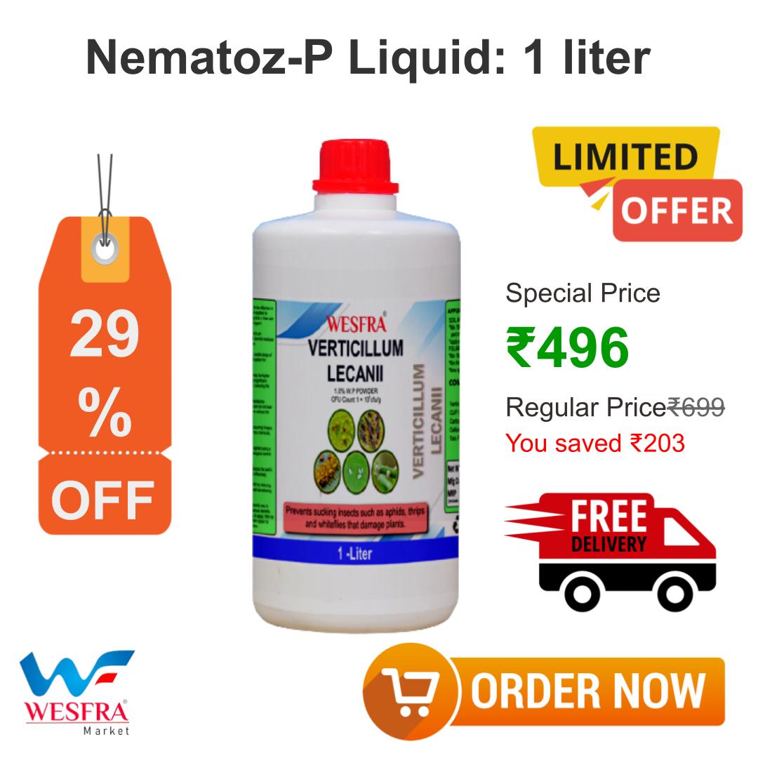 Introducing the incredible Verticillium lecanii, your ultimate weapon against those pesky aphids, thrips, and whiteflies!