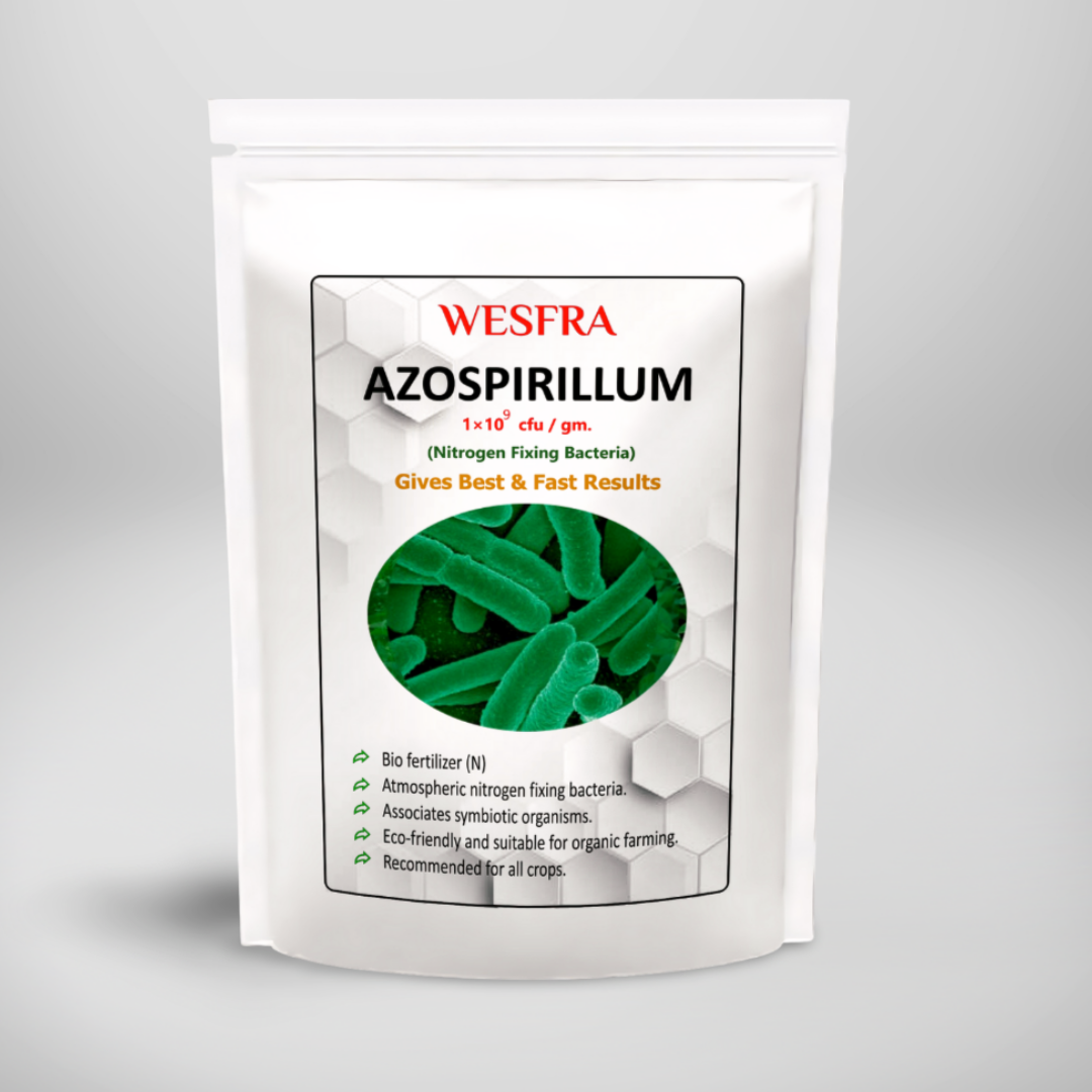 10 Reasons to Choose Azospirillum Organic Fertilizer