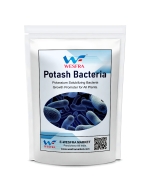 Potash Bacteria Growth Fertilizer 1 kg