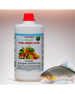 fish amino acid