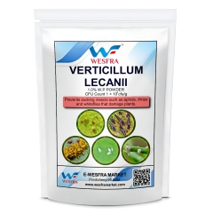 Verticillium lecanii Against Aphids, Thrips and Whiteflies 1 kg