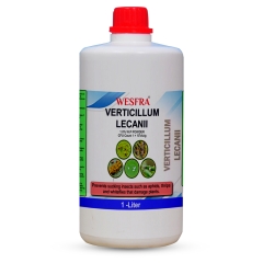 Verticillium lecanii Against Aphids, Thrips and Whiteflies 1 Liter