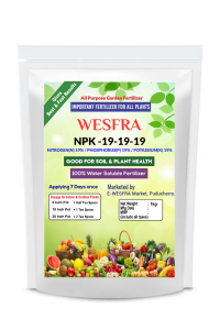 NPK 19-19-19 Plant Nutrient Fertilizer 1kg