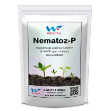 Nematoz-P என்பது பேசிலோமைசஸ் லிலாசினஸ் W.P, Bio Nematicide) 1 கிலோ