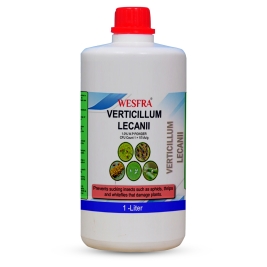 Verticillium lecanii Against Aphids, Thrips and Whiteflies 1 Liter