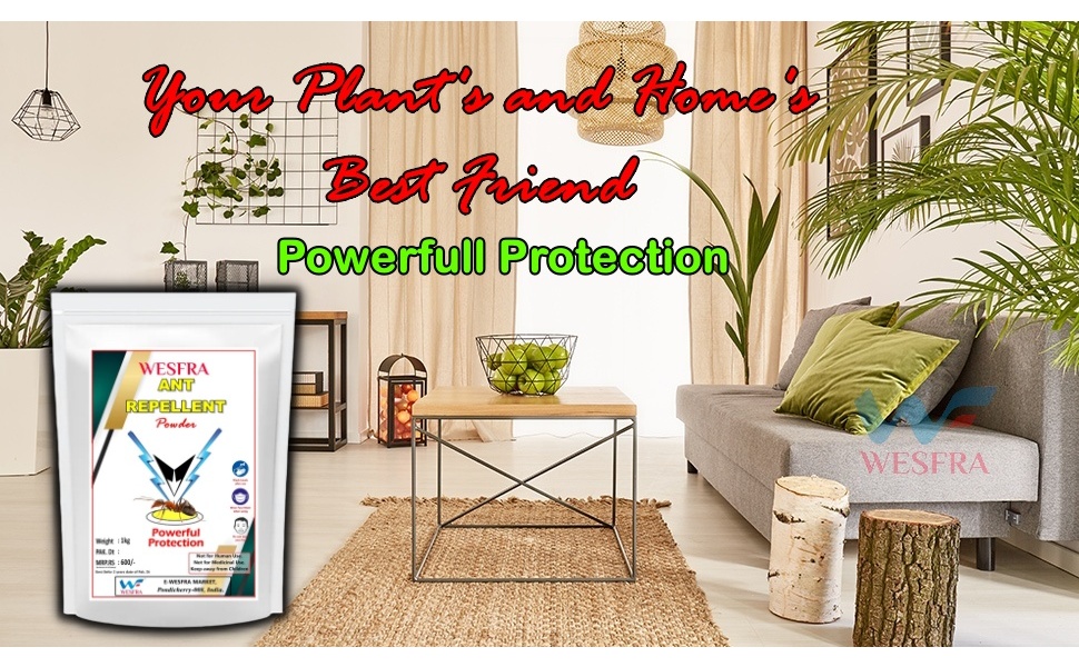 Extra Powerful Ant Killer Powder 1kg: Your Ultimate Solution for Pest Control