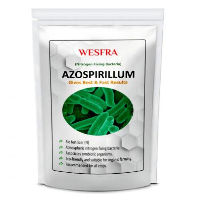 WESFRA Azospirillum Biofertilizer Nitrogen Fixing For All Plants