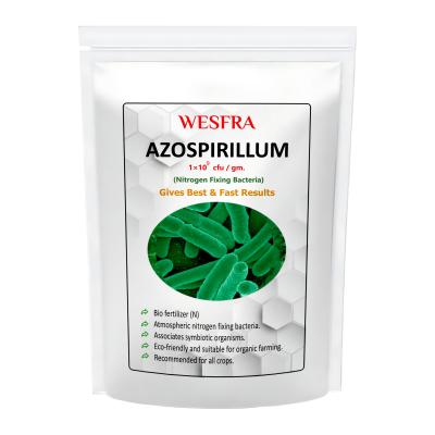 WESFRA Azospirillum Biofertilizer: Unlock your garden’s true potential with this remarkable 1kg pack of Azospirillum biofertilizer!